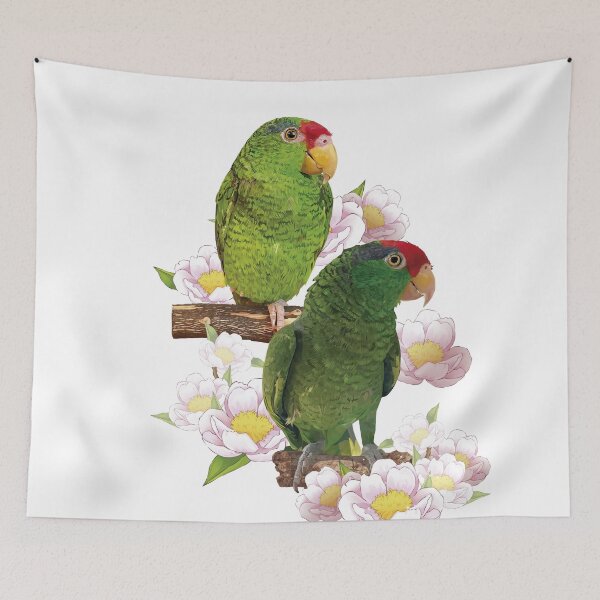 Item preview, the tamaulipan parrot designed and sold by obscurite.
