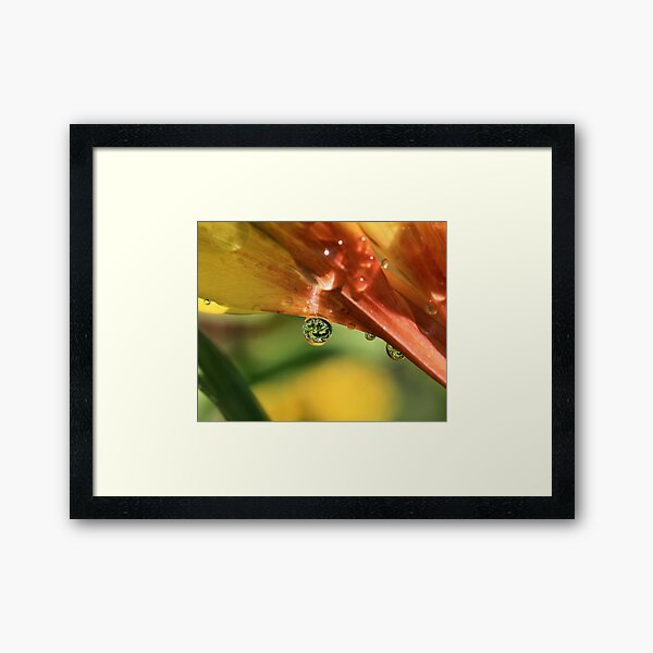 Nature's Perfect Gems Framed Art Print