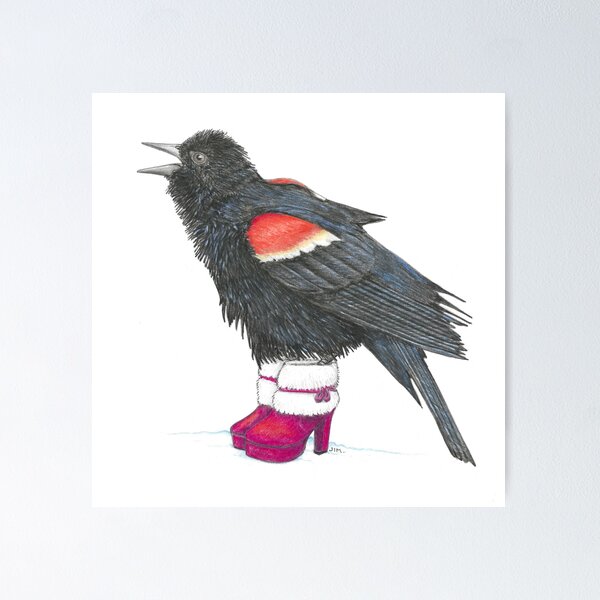 Item preview, Colly Bird in Christmas Boots designed and sold by JimsBirds.