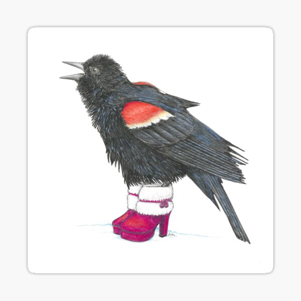 Item preview, Colly Bird in Christmas Boots designed and sold by JimsBirds.