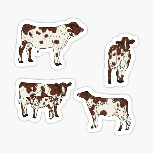 Item preview, Ayrshire Cows Pattern Transparent designed and sold by Ashley Gagnon.