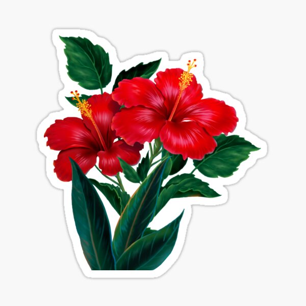 Tropical Flowers Stickers Redbubble - light green hibiscus islands roblox