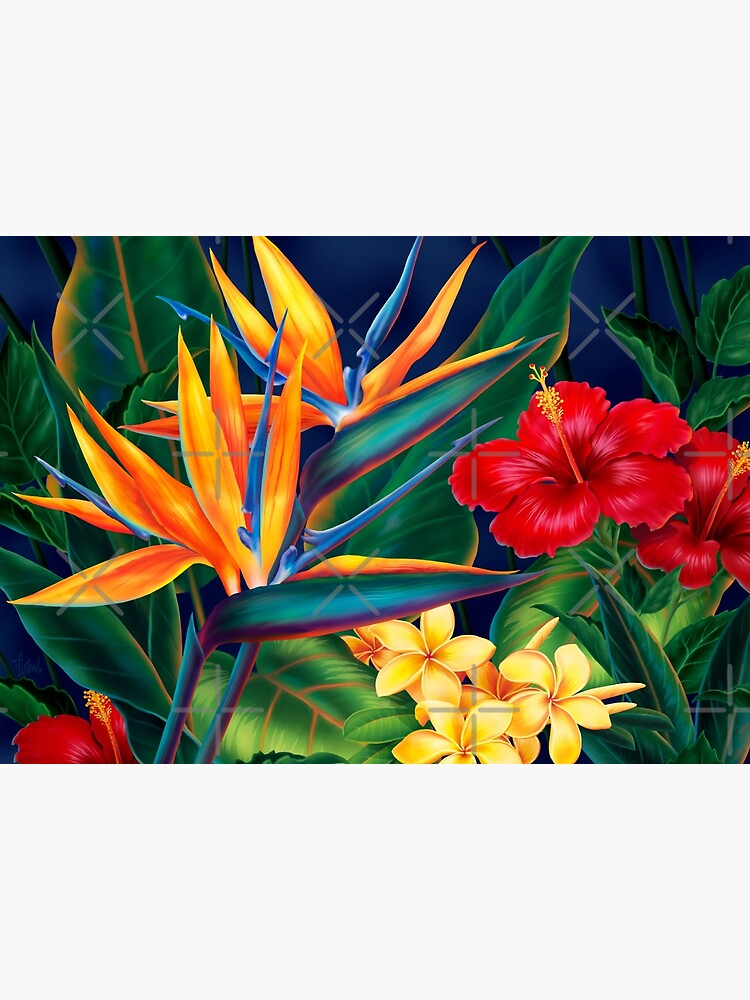 Discover Tropical Paradise Hawaiian Birds of Paradise Illustration Canvas