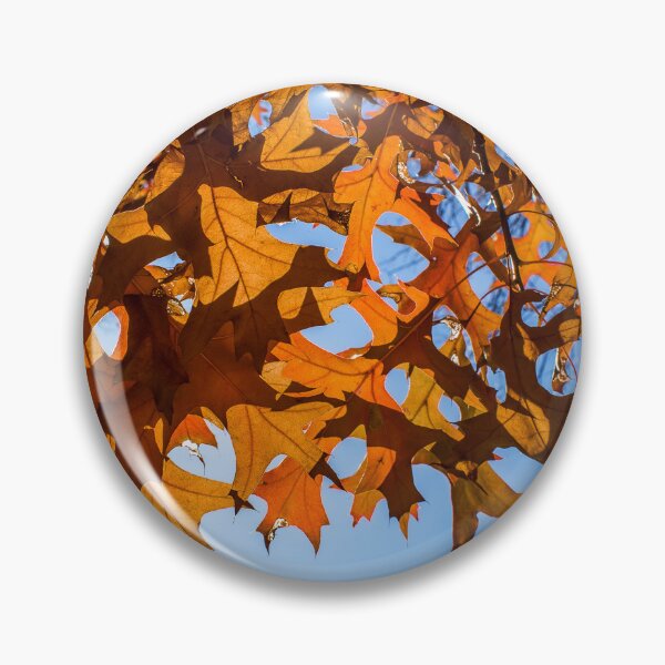 Item preview, Orange Leaves in Autumn Season Wall Art Poster Printable, Nature and Sunshine, Prints DIY Wall Art, Instant Download, Home Decor designed and sold by Boydfoto.