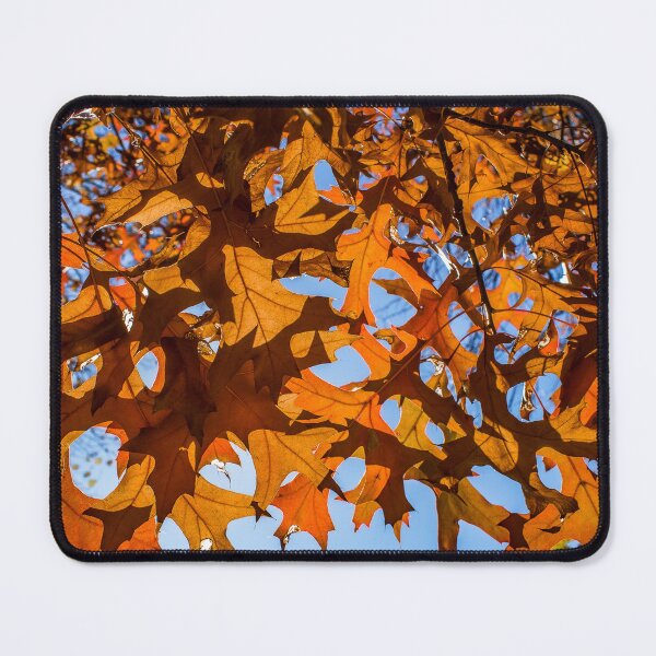 Item preview, Orange Leaves in Autumn Season Wall Art Poster Printable, Nature and Sunshine, Prints DIY Wall Art, Instant Download, Home Decor designed and sold by Boydfoto.