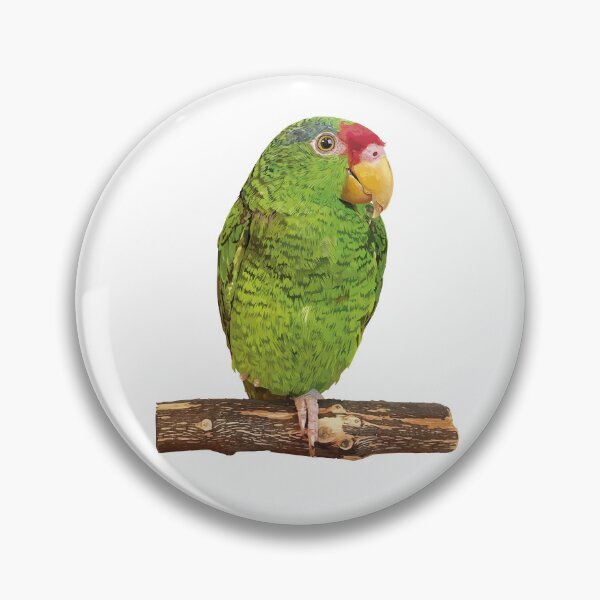 Item preview,  the tamaulipan parrot designed and sold by obscurite.