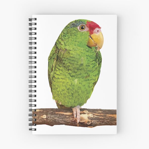 Item preview,  the tamaulipan parrot designed and sold by obscurite.