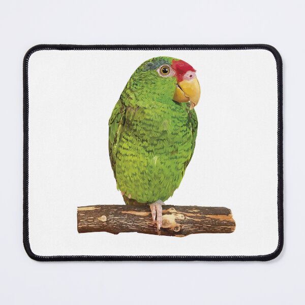 Item preview,  the tamaulipan parrot designed and sold by obscurite.