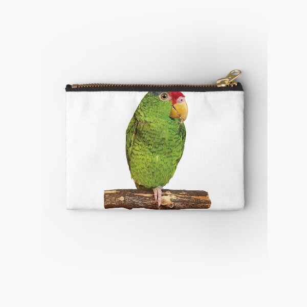 Item preview,  the tamaulipan parrot designed and sold by obscurite.