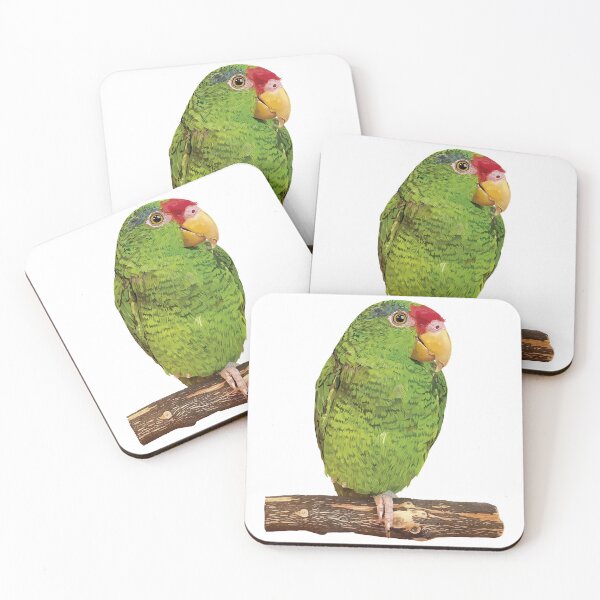 Item preview,  the tamaulipan parrot designed and sold by obscurite.