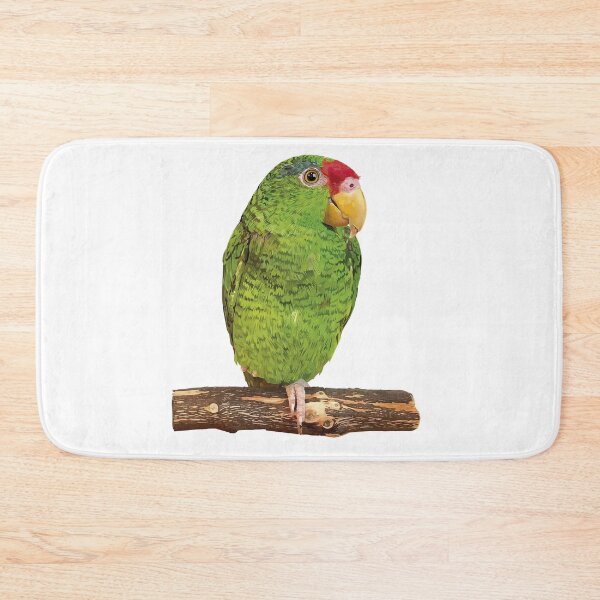Item preview,  the tamaulipan parrot designed and sold by obscurite.