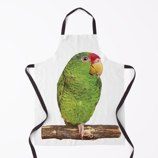Item preview, the tamaulipan parrot designed and sold by obscurite.