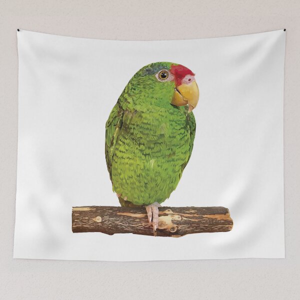 Item preview,  the tamaulipan parrot designed and sold by obscurite.