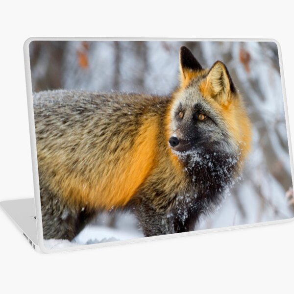 Cross Fox in the Arctic Laptop Skin
