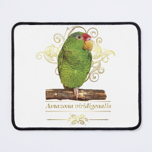 Item preview, the tamaulipan parrot designed and sold by obscurite.