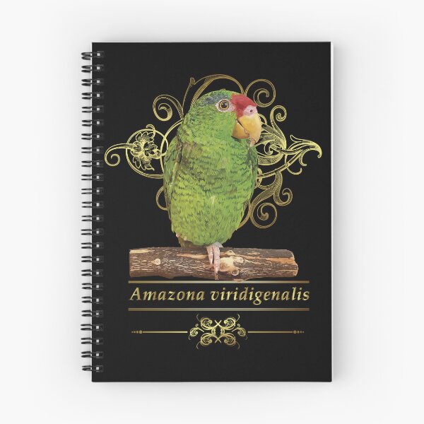 Item preview, the tamaulipan parrot designed and sold by obscurite.