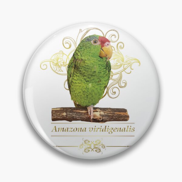Item preview, the tamaulipan parrot designed and sold by obscurite.