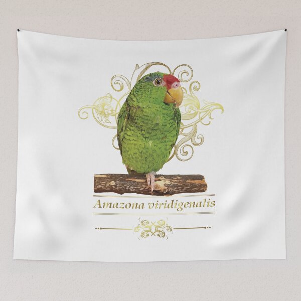 Item preview, the tamaulipan parrot designed and sold by obscurite.