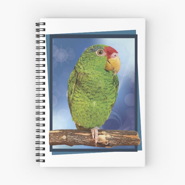 Item preview, the tamaulipan parrot designed and sold by obscurite.