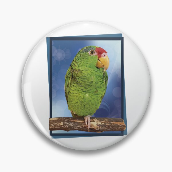 Item preview, the tamaulipan parrot designed and sold by obscurite.