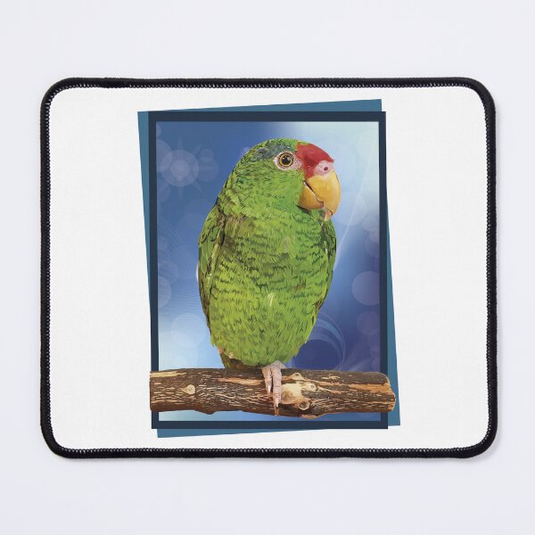 Item preview, the tamaulipan parrot designed and sold by obscurite.
