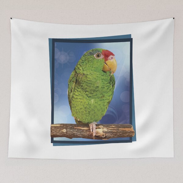 Item preview, the tamaulipan parrot designed and sold by obscurite.