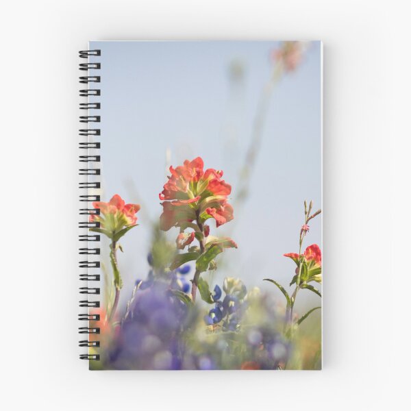 Item preview, Indian Paintbrush in the Spring designed and sold by Skylark-Art.