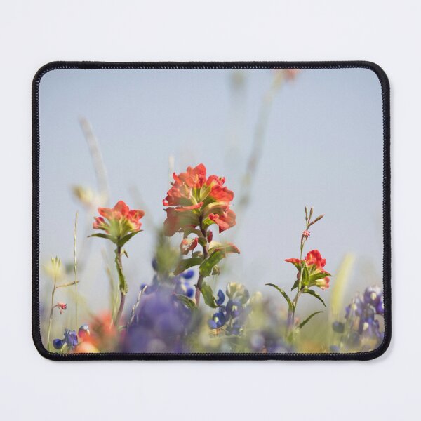Item preview, Indian Paintbrush in the Spring designed and sold by Skylark-Art.
