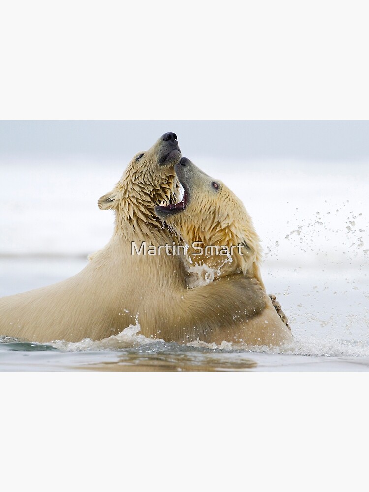 Water Sport by MartinSmart