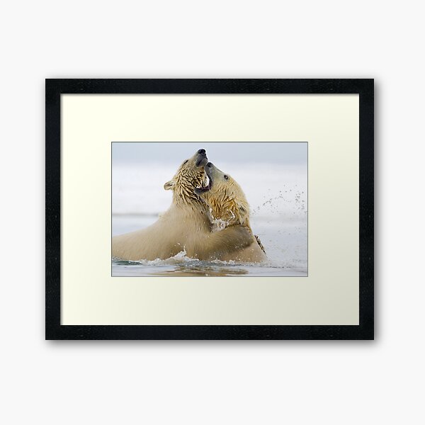 Water Sport Framed Art Print