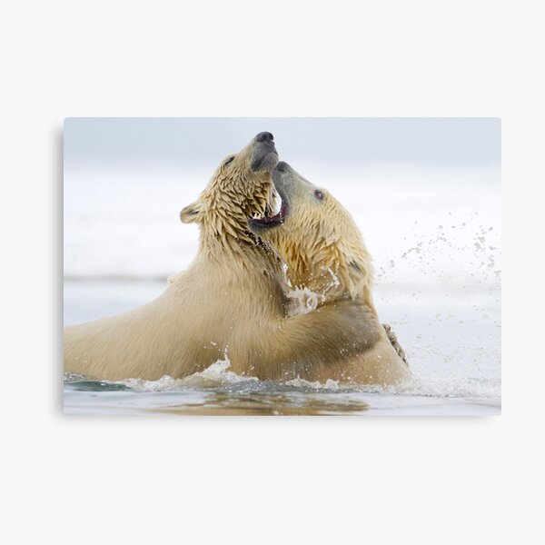 Water Sport Metal Print