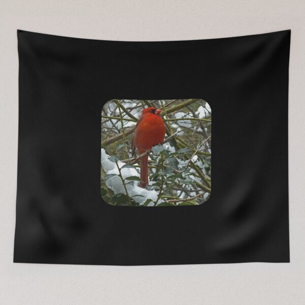 Item preview, Red Cardinal In Winter - Theme designed and sold by TechLaughs.