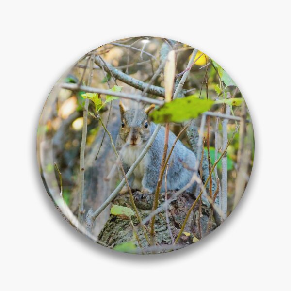 Item preview, A Squirrel Hiding In The Bushes. designed and sold by BackyardBirder.