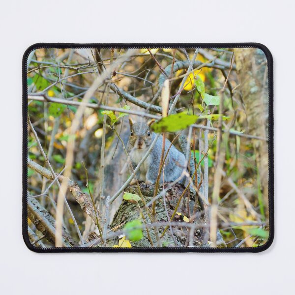 Item preview, A Squirrel Hiding In The Bushes. designed and sold by BackyardBirder.