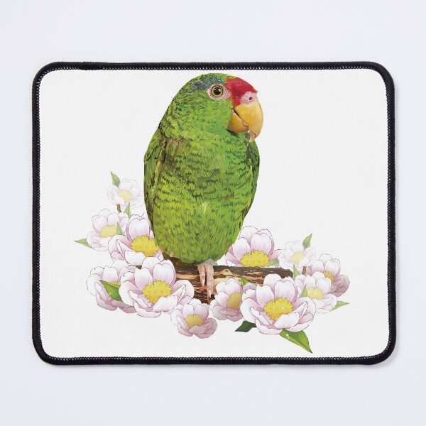 Item preview, Copy of The Tamaulipan Parrot designed and sold by obscurite.