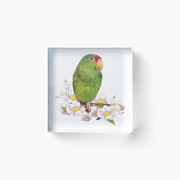 Item preview, Copy of The Tamaulipan Parrot designed and sold by obscurite.