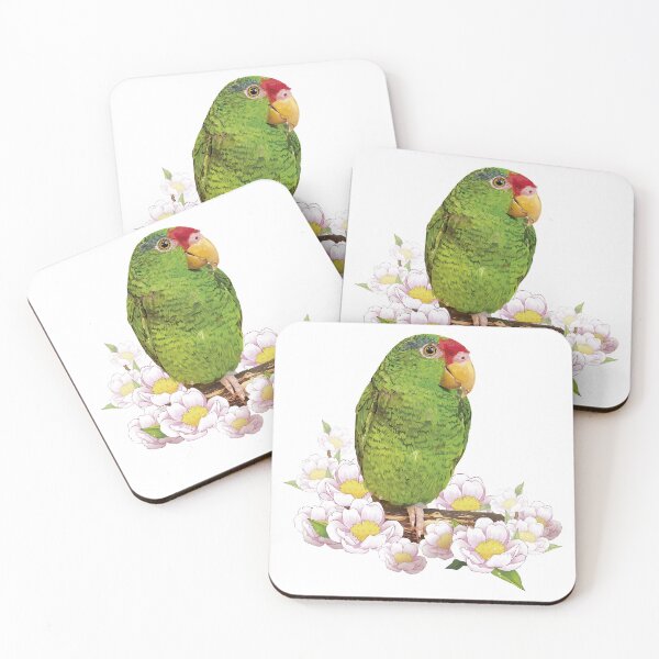 Item preview, Copy of The Tamaulipan Parrot designed and sold by obscurite.