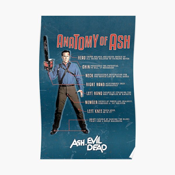 The Anatomy of Ash Poster