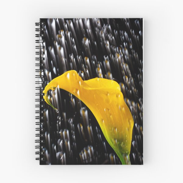 Item preview, Raining On A Yellow Calla Lily designed and sold by Garry Gay.