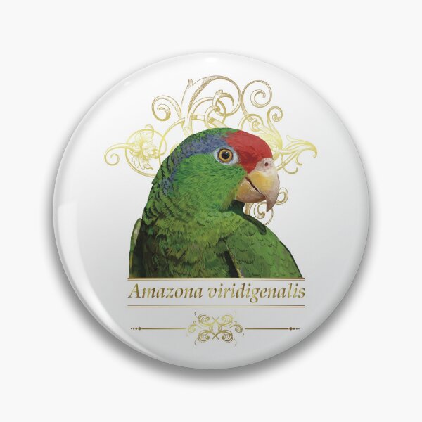Item preview, the tamaulipan parrot designed and sold by obscurite.