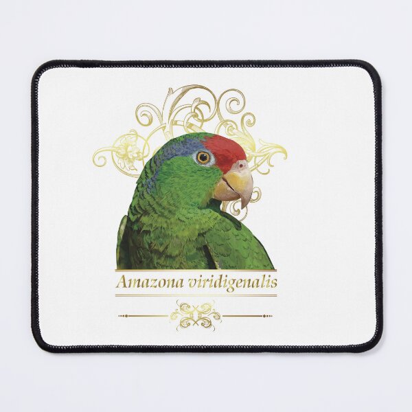 Item preview, the tamaulipan parrot designed and sold by obscurite.