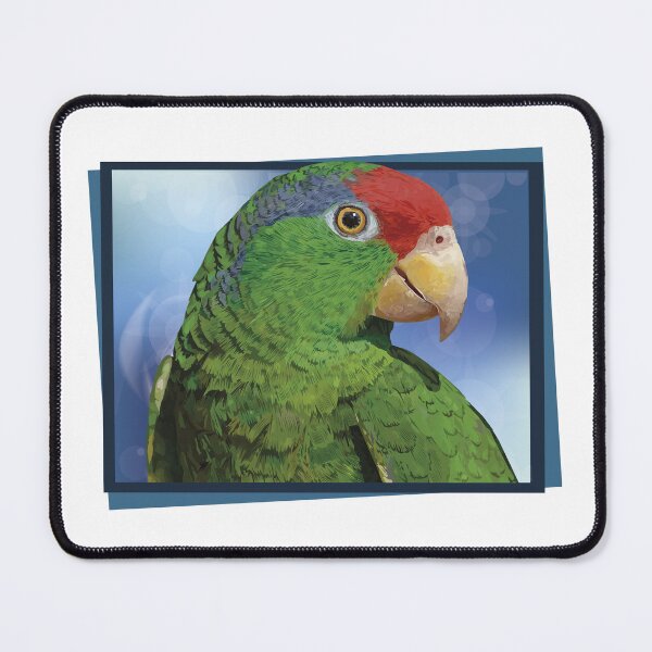 Item preview, the tamaulipan parrot designed and sold by obscurite.