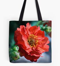 Geum Mrs Bradshaw Tote Bag