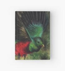 Animal Abstractions: Quetzal Hardcover Journal