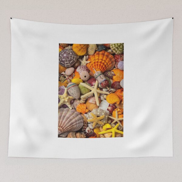 Item preview, Tropical Shell Collection designed and sold by Garry Gay.