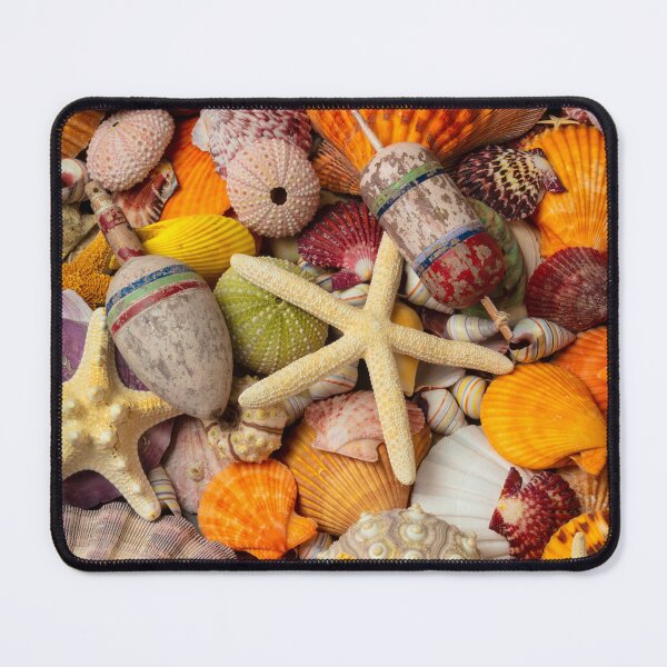 Item preview, Tropical Shell Collection designed and sold by Garry Gay.