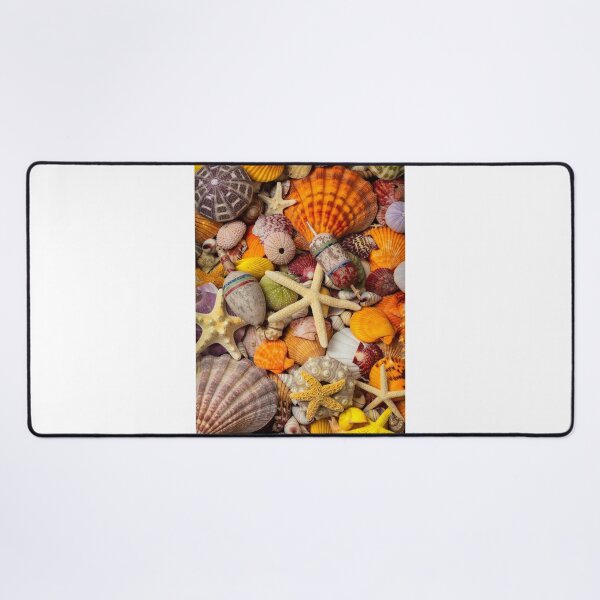 Item preview, Tropical Shell Collection designed and sold by Garry Gay.