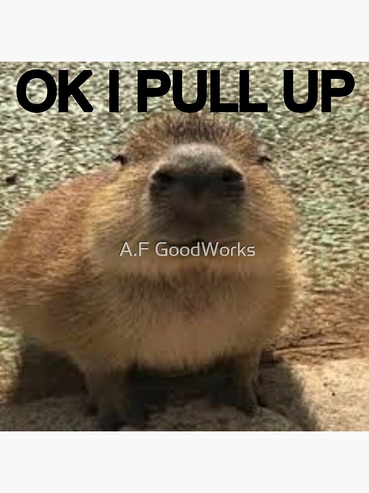 "OK I PULL UP" Poster for Sale by Pinkchickenxd50 | Redbubble