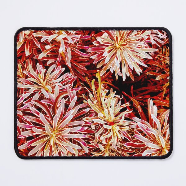 Item preview, Fireworks designed and sold by MadameXimon.