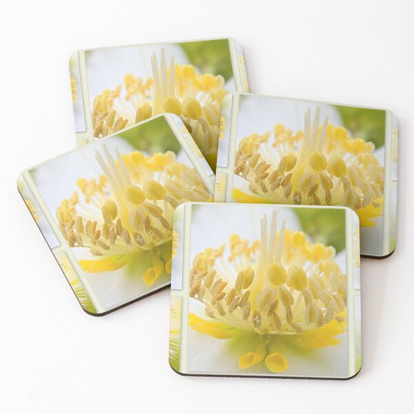 Item preview, Helleborus in detail designed and sold by angel1.